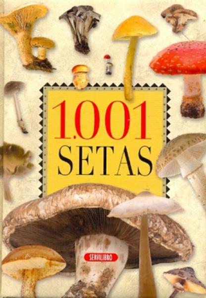 1001 SETAS